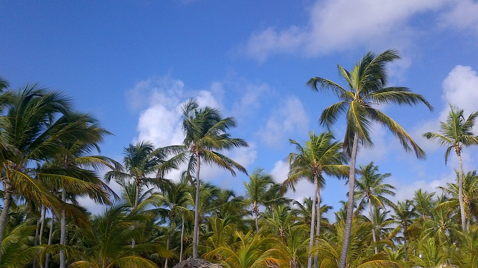 Playa de Punta Cana en República Dominicana